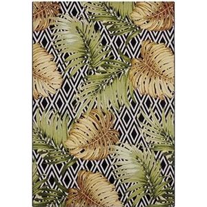 Hanse Home Collection Kusový koberec Flair 105611 Diamonds and Leaves Multicolored