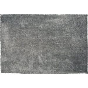 Koberec shaggy 140 × 200 cm svetlosivý EVREN, 186346